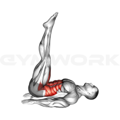 Lying Leg Raises