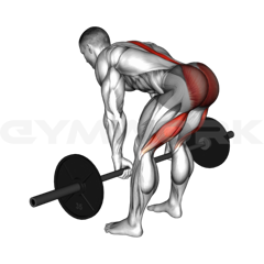 Barbell Romanian Deadlift