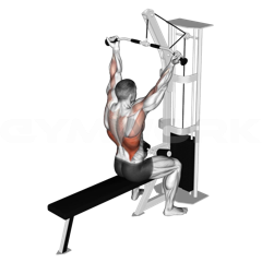 Underhand Lat Pulldown
