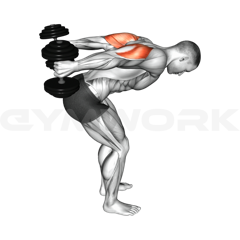 Dumbbell Kickback