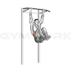 Hanging Knee Raise