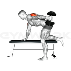 One Arm Dumbbell Kickback