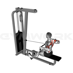 Wide Grip Seated Cable Row