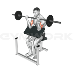 EZ-Bar Preacher Curl