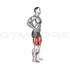 Walking Lunge