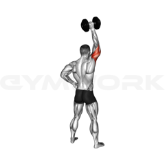 Single Arm Dumbbell Overhead Extension