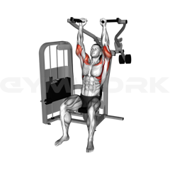 Hammer Shoulder Press