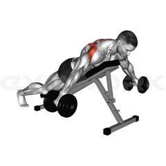 Chest Supported Dumbbell Rear Delt Raise