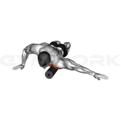 Foam Roll Chest