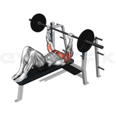 Feet Up Bench Press