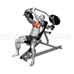 Incline Machine Fly