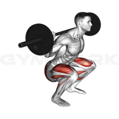 Low Bar Squat