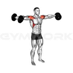 Dumbbell Side Lateral Raise