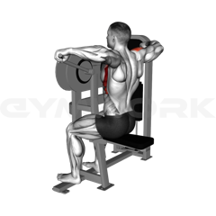 Lateral Raise Machine
