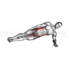 Side Plank