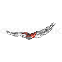 Hollow Body