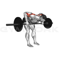 Bent-Over Barbell Raise
