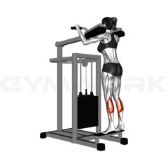 Calf Raise Machine