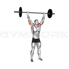 Behind-the-Neck Press