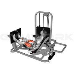 Seated Leg Press