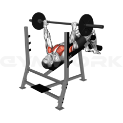 Decline Bench Press