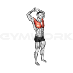 Chest Stretch