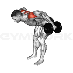 Bent-Over Dumbbell Lateral Raise