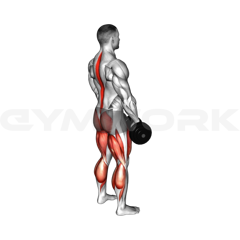 Dumbbell Deadlift
