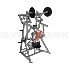 Low Row Machine