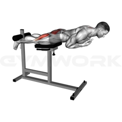 Hyper Extension