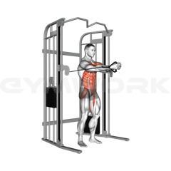 Pallof Press (1min)