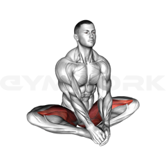 Butterfly Yoga Stretch
