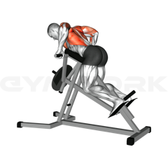 Chest Supported T-Bar Row