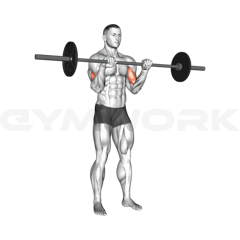 EZ-Bar Reverse Curl
