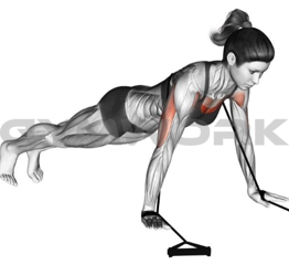 Band Push-up