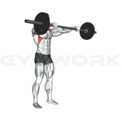 Barbell Front Raise