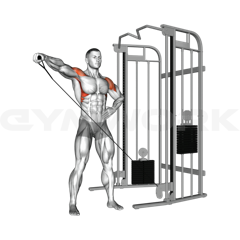 Cable Single-Arm Lateral Raise