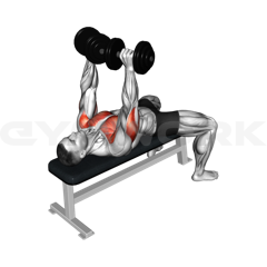 Dumbbell Bench Press