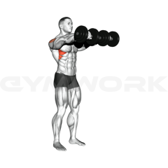 Dumbbell Front Raise