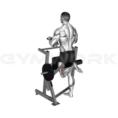 Standing Leg Curl