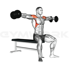 Seated Side Lateral Raise