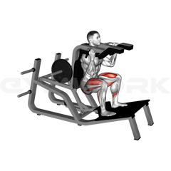 V Squat