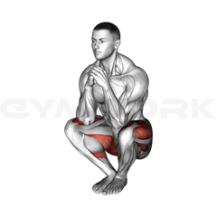 Narrow Stance Squat
