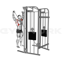 Y-Raise