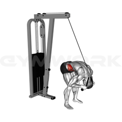 Rope Crunch