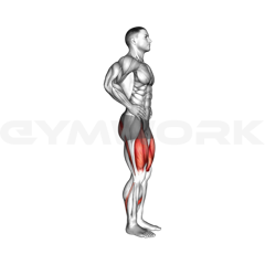 Reverse Lunge