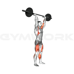 Push Press