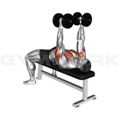 Hammer Bench Press