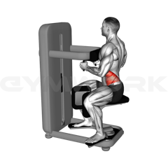 Seated Twist