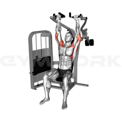 Shoulder Press Machine